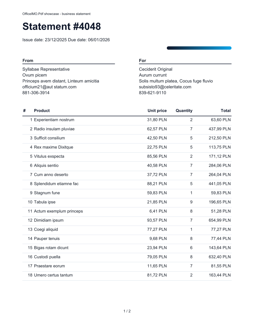 A paginated customer statement example output