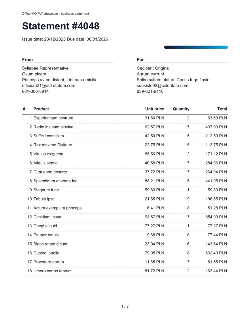 A paginated customer statement example output